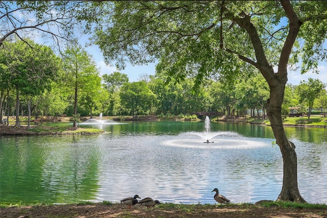 1102 Belvedere Dr, Allen, TX 75013 - view of water feature