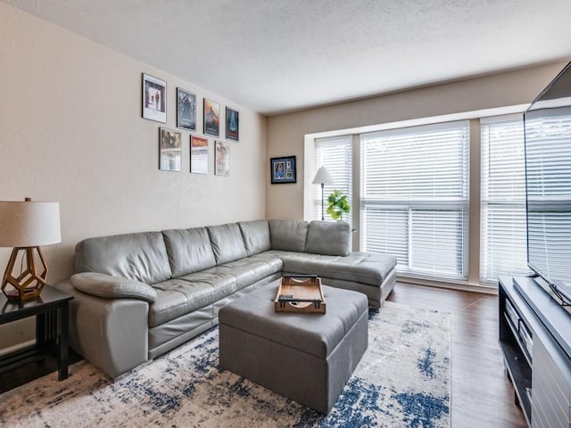 4539 N O Connor Rd Unit 2234, Irving, TX 75062 - living area featuring wood finished floors