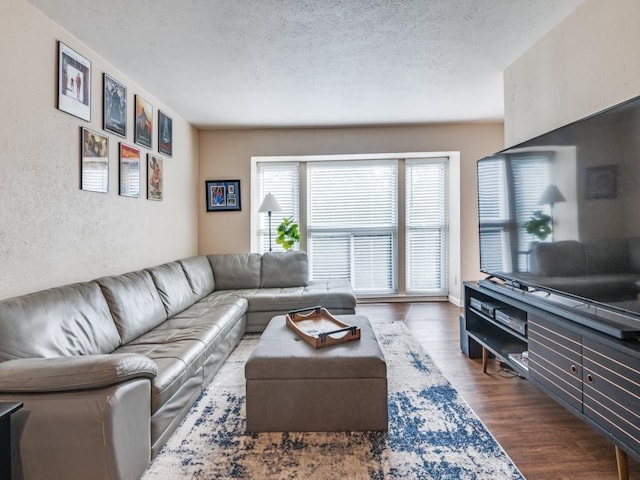 4539 N O Connor Rd Unit 2234, Irving, TX 75062 - living area with dark wood-style floors, a textured ceiling, and a textured wall