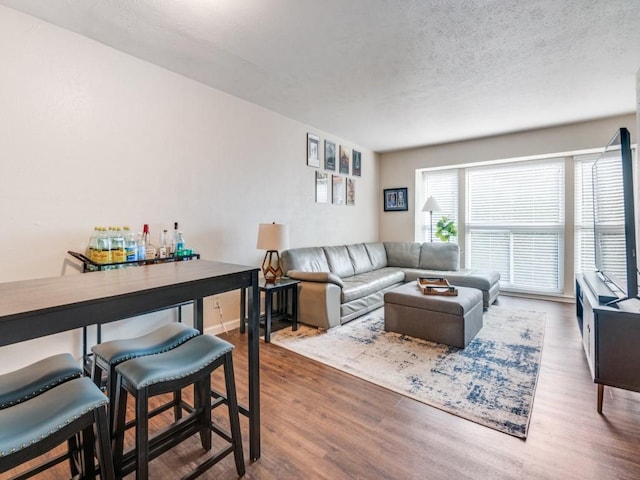 4539 N O Connor Rd Unit 2234, Irving, TX 75062 - living area with wood finished floors and a textured ceiling