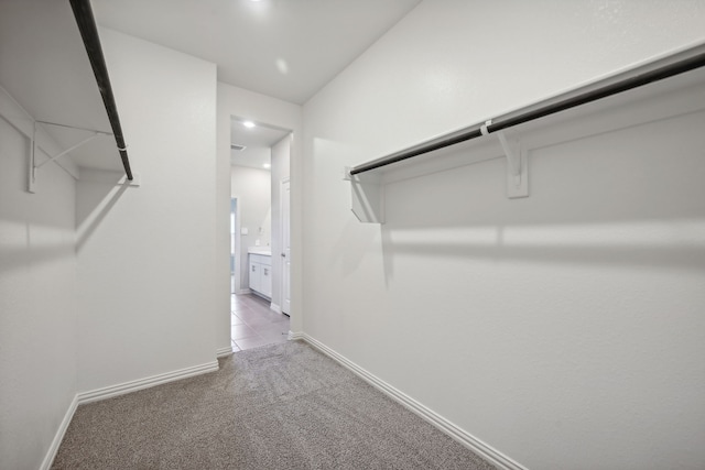 spacious closet featuring carpet floors