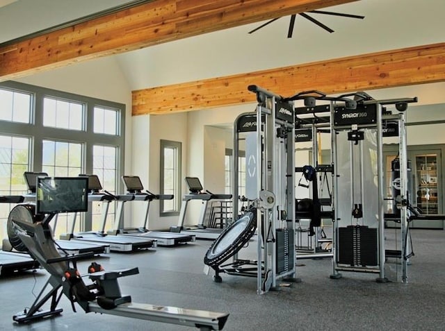 workout area featuring lofted ceiling