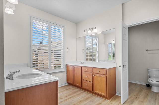 full bathroom featuring two vanities, wood finished floors, a sink, and toilet