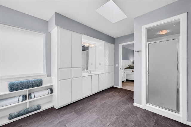 511 Kiowa Dr W, Lake Kiowa, TX 76240 - ensuite bathroom with connected bathroom, vanity, a skylight, and a stall shower