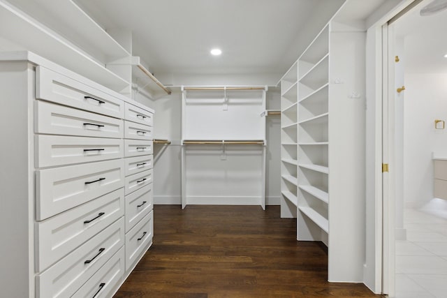 spacious closet featuring dark wood-style flooring