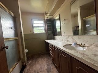 bathroom with toilet and vanity