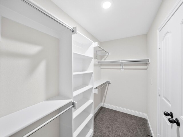 spacious closet with dark colored carpet