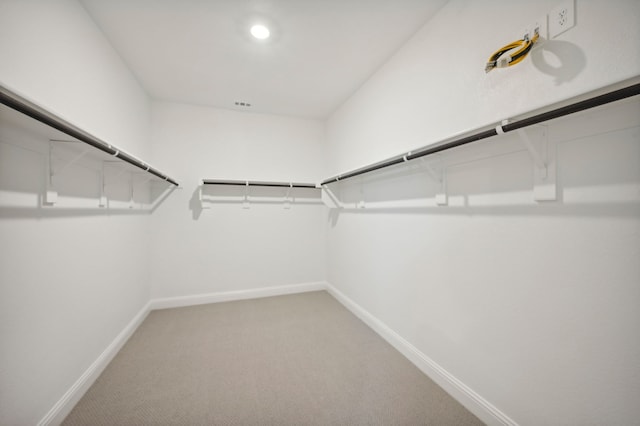 spacious closet with light carpet