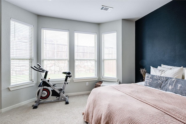 3504 Periwinkle Dr, Aubrey, TX 76227 - carpeted bedroom with multiple windows and baseboards
