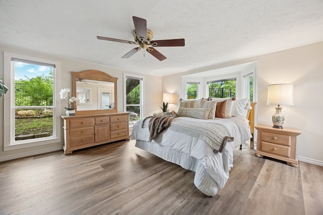 6725 Cahoba Dr, Fort Worth, TX 76135 - bedroom with a textured ceiling and multiple windows
