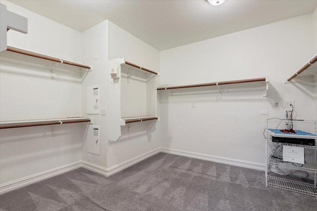 6514 Eagle Rock Dr, Frisco, TX 75036 - walk in closet featuring carpet flooring