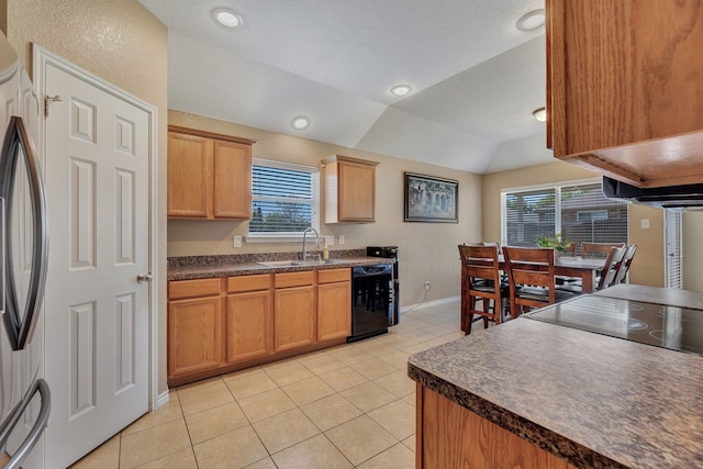 6121 Bowfin Dr, Fort Worth, TX 76179 - kitchen with dark countertops, dishwasher, freestanding refrigerator, and a healthy amount of sunlight