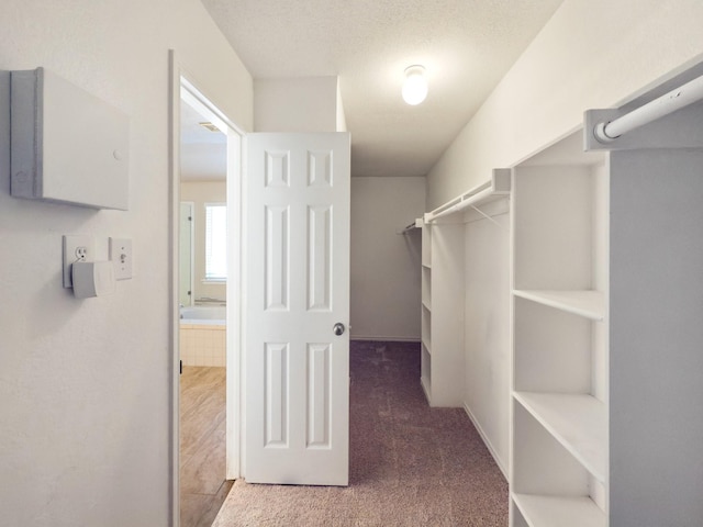 803 Sterling Ct, Allen, TX 75002 - walk in closet with carpet