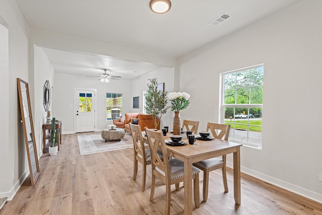 1031 W Chestnut St, Denison, TX 75020 - dining room with light wood-style flooring, baseboards, and a ceiling fan