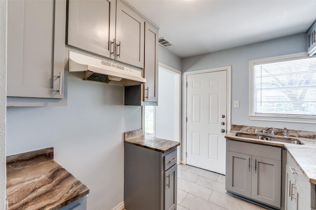 kitchen with gray cabinets, under cabinet range hood, and a sink