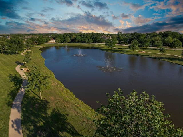 1027 Addison Ave, Pottsboro, TX 75076 - water view