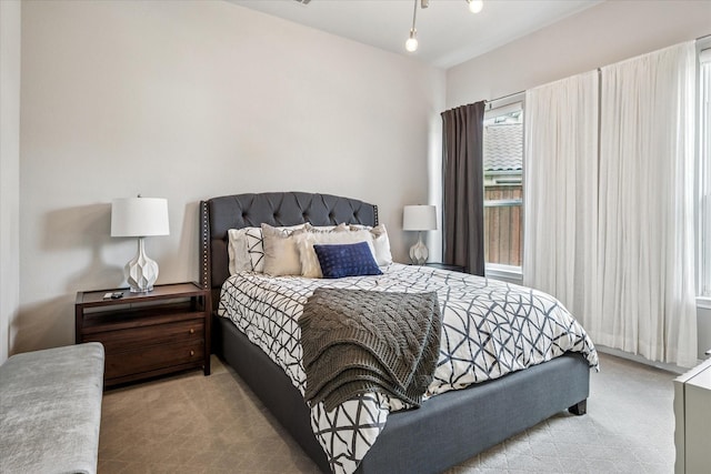 13508 Balint Ln, Frisco, TX 75035 - spacious closet with light carpet