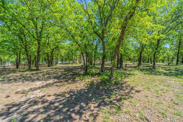 2033 Antler Loop, Poolville, TX 76487 - view of yard