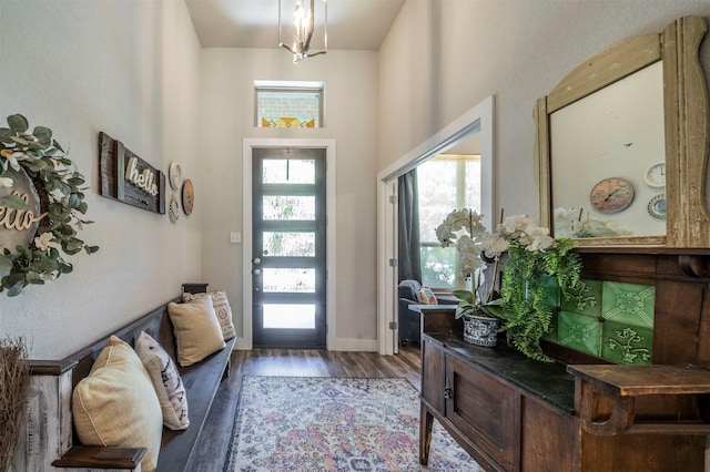 2033 Antler Loop, Poolville, TX 76487 - foyer featuring wood finished floors and a high ceiling
