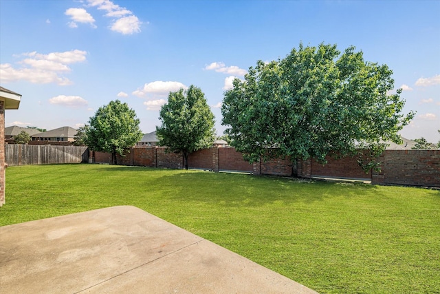 403 Connemara Trl, Celina, TX 75009 - view of yard with a patio