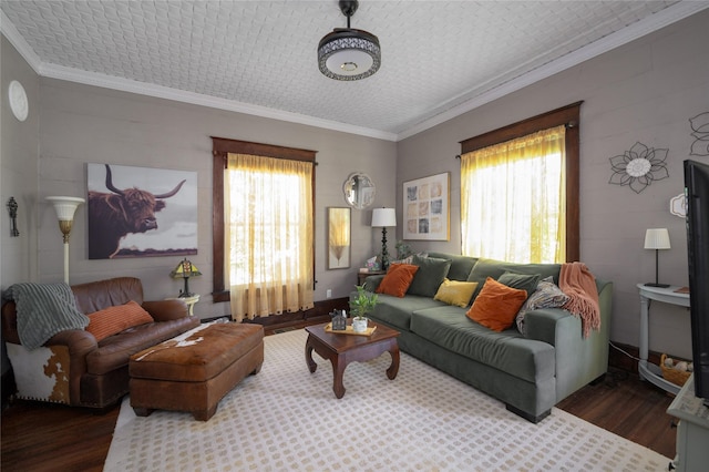 living room featuring ornamental molding and wood finished floors