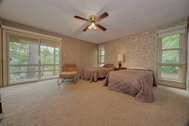 bedroom featuring multiple windows, a textured ceiling, and access to exterior