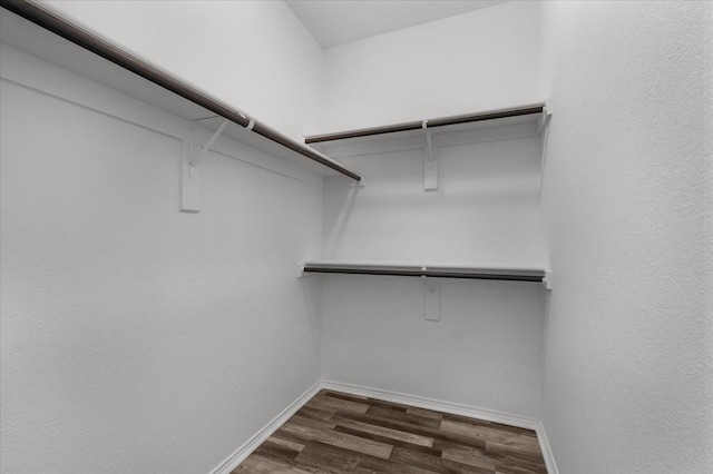 spacious closet featuring dark wood-style flooring