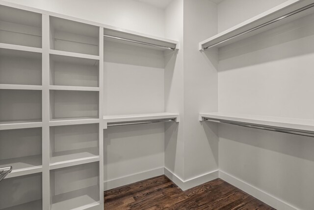 spacious closet featuring dark wood finished floors