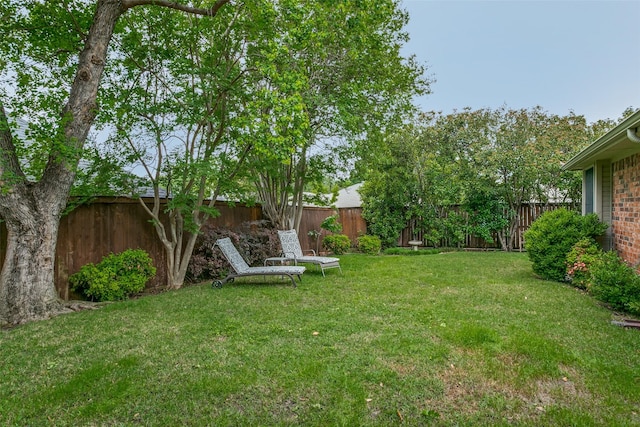 view of yard featuring a fenced backyard