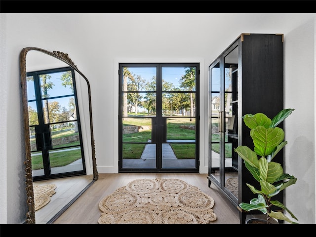 612 Glade Stream Ct, Azle, TX 76020 - doorway with wood finished floors