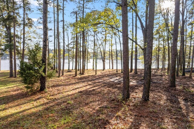 TBD Lake Dr, Mount Vernon, TX 75457