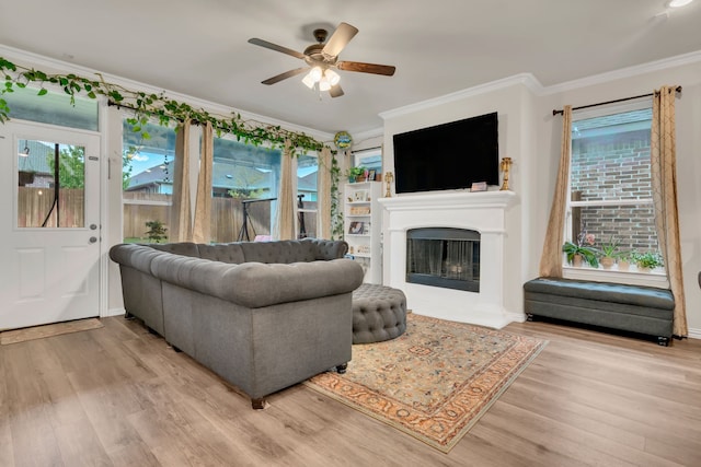 1728 Rio Secco Dr, Fort Worth, TX 76131 - living room featuring light wood finished floors, a healthy amount of sunlight, ceiling fan, and crown molding