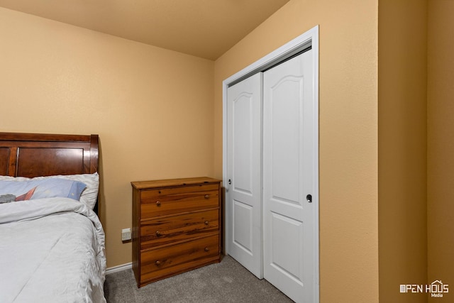 bedroom featuring carpet floors and a closet