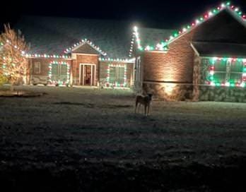 8636 Morgan Rd, Blue Ridge, TX 75424 - view of front facade
