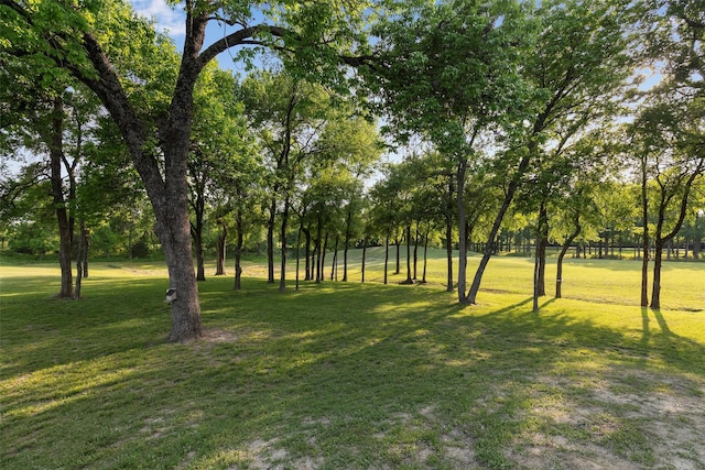1228 Miller Rd, Melissa, TX 75454 - view of yard
