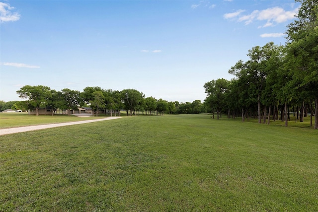 1228 Miller Rd, Melissa, TX 75454 - view of yard