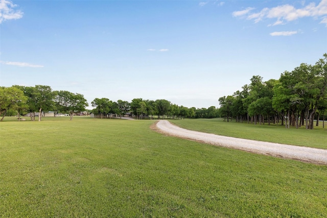 1228 Miller Rd, Melissa, TX 75454 - view of community with a lawn