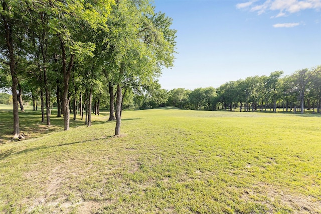 1228 Miller Rd, Melissa, TX 75454 - view of yard