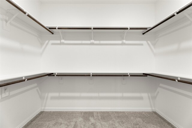917 Janwood Dr, Plano, TX 75075 - spacious closet with carpet flooring