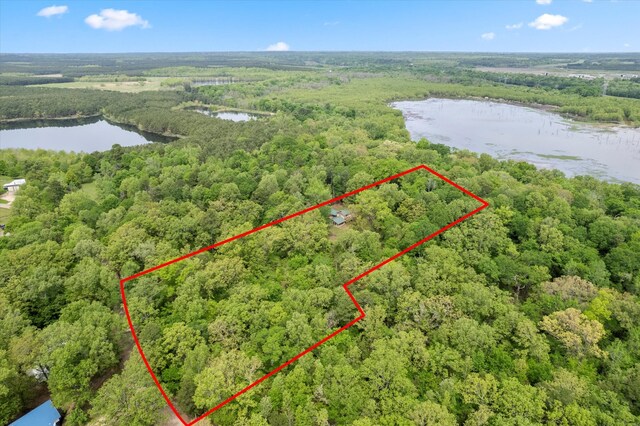 birds eye view of property with a view of trees and a water view