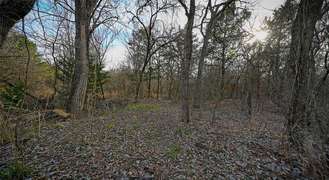0 Pondview Ln, Nocona, TX 76255