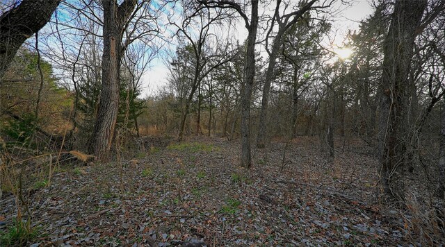 0 Pondview Ln, Nocona, TX 76255