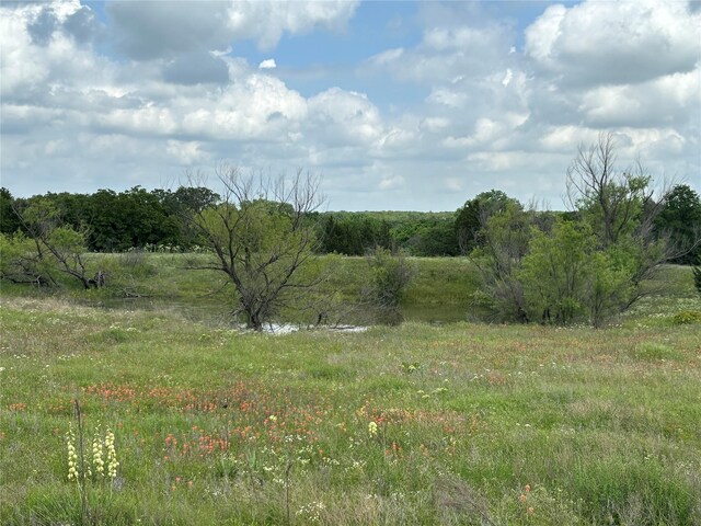 0 Pondview Ln, Nocona, TX 76255