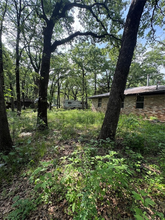 117 Scenic Dr, Mabank, TX 75156 - view of yard