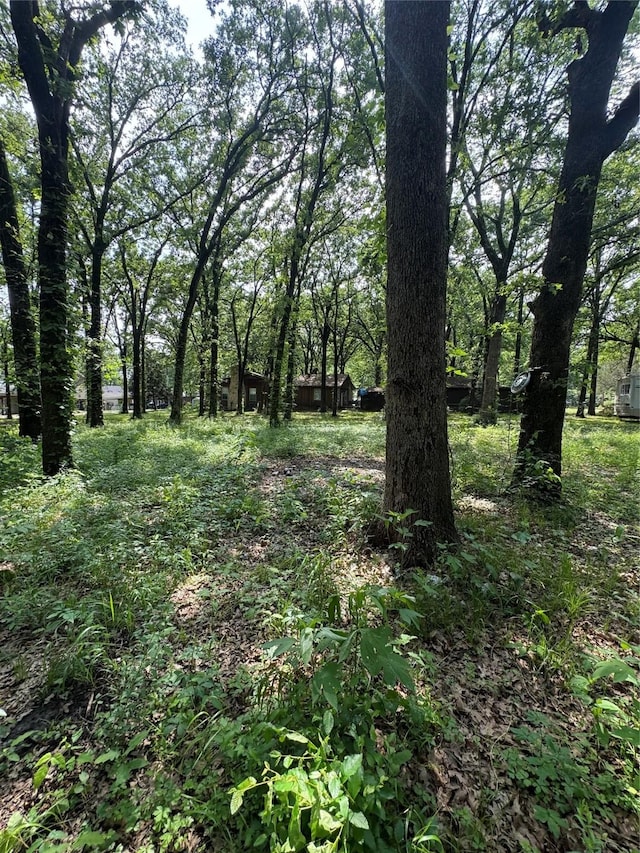 117 Scenic Dr, Mabank, TX 75156 - view of landscape