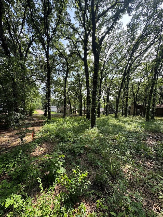 117 Scenic Dr, Mabank, TX 75156 - view of local wilderness