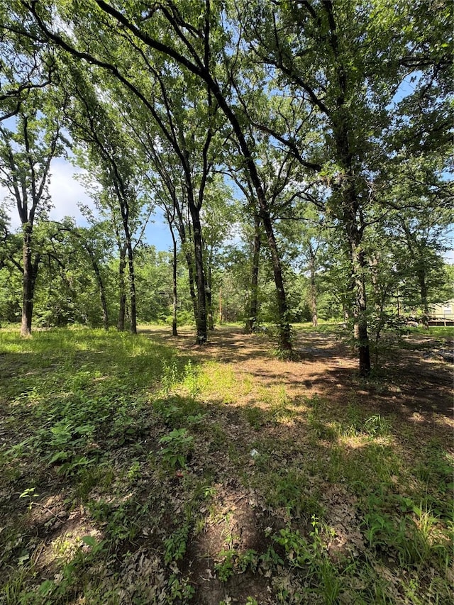 117 Scenic Dr, Mabank, TX 75156 - view of landscape