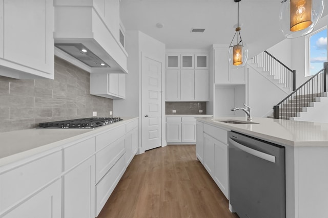 3541 Wardie Pl, Frisco, TX 75033 - kitchen featuring white cabinets, stainless steel appliances, a sink, wood finished floors, and custom range hood