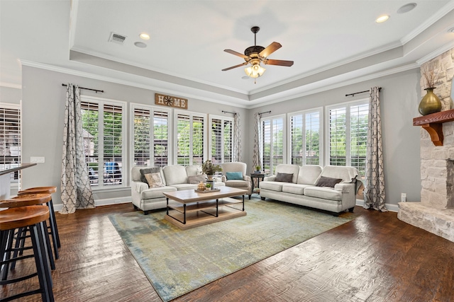 living room with ceiling fan, crown molding, a healthy amount of sunlight, and a raised ceiling