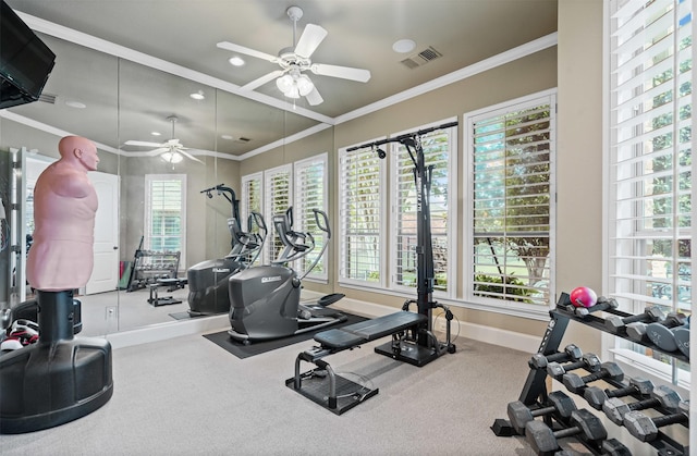 exercise room with ceiling fan, crown molding, and visible vents